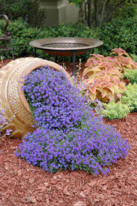 Tilted Pot with Overflowing Purple Flowers