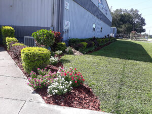 Building Side Shot with Natural Edge