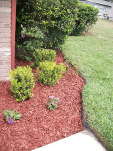 Deep Natural Edge View 1