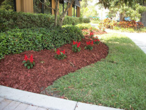 Deep Natural Edge View 2