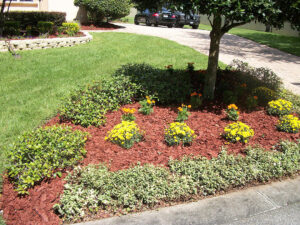 Deep Natural Edge View 3