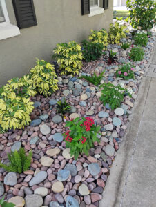 Rock Plant Landscaping View 1