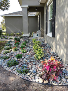 Rock Plant Landscaping View 2