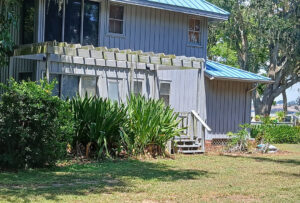 Backyard Cleanup and Landscaped