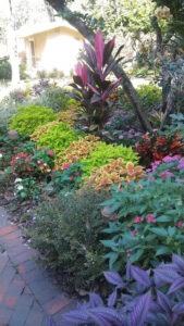 Colorful Landscape Walkway