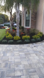 Palm Tree Landscape Layout