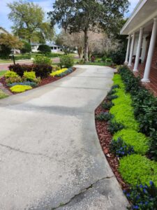 Driveway Landscape