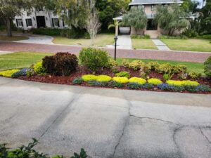 Driveway Landscape Vantage Point 2