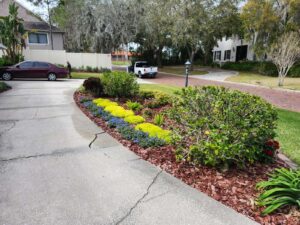 Driveway Landscape Vantage Point 3